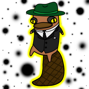 platypus: 2529