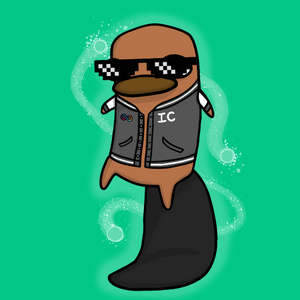 platypus: 2923