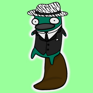 platypus: 1565