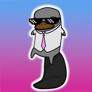 platypus: 3065