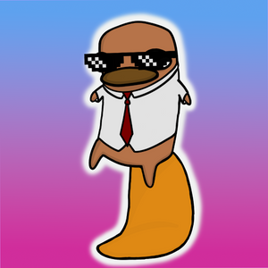platypus: 2436