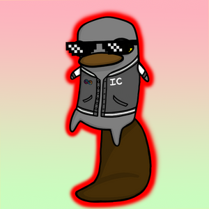 platypus: 2862