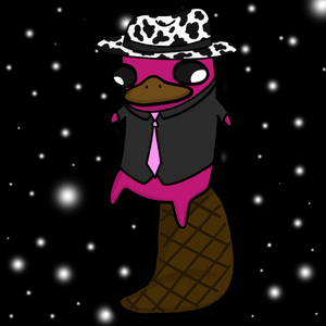 platypus: 2373