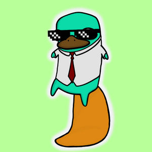 platypus: 1608