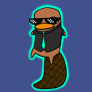 platypus: 1604