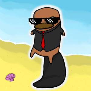 platypus: 1136