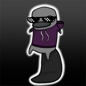 platypus: 1551