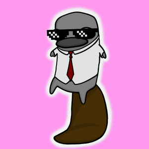 platypus: 24