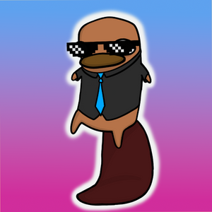 platypus: 1587