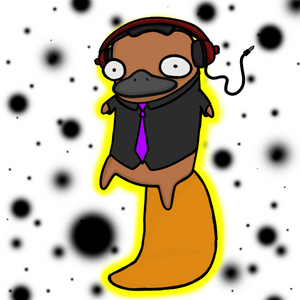 platypus: 2822