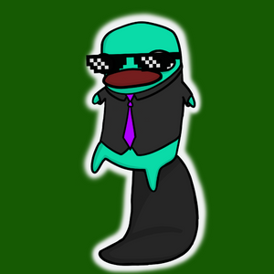platypus: 1588