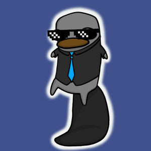 platypus: 1596