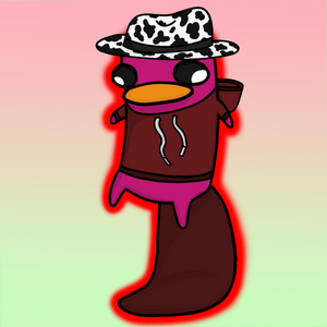 platypus: 80