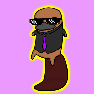 platypus: 2365