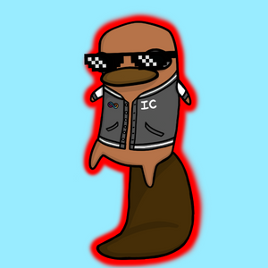 platypus: 2158