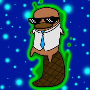platypus: 2638