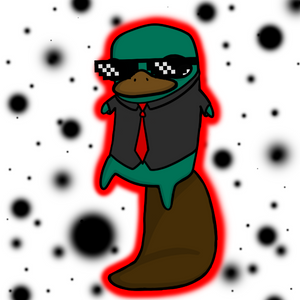 platypus: 2910