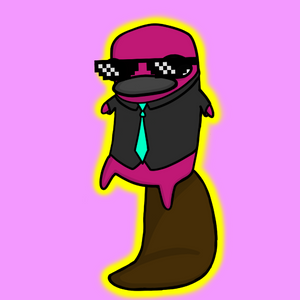 platypus: 2605