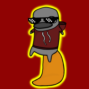 platypus: 905