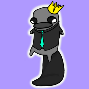 platypus: 303