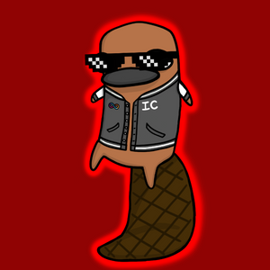 platypus: 1552