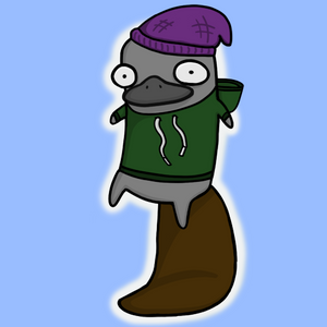 platypus: 1568