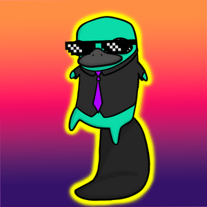 platypus: 1505