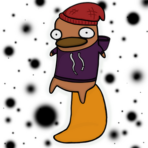 platypus: 1731