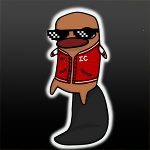 platypus: 2107