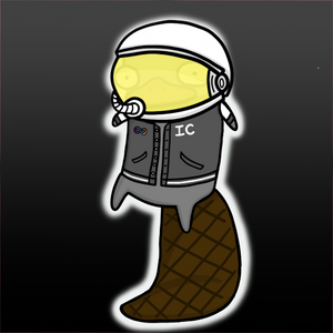 platypus: 2404