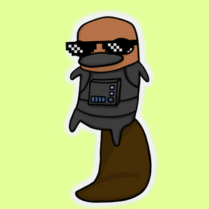 platypus: 703