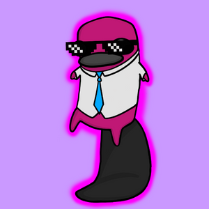 platypus: 1763