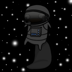 platypus: 2965