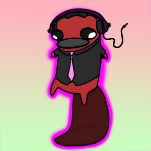platypus: 224