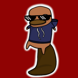 platypus: 2576