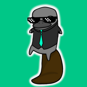 platypus: 2899